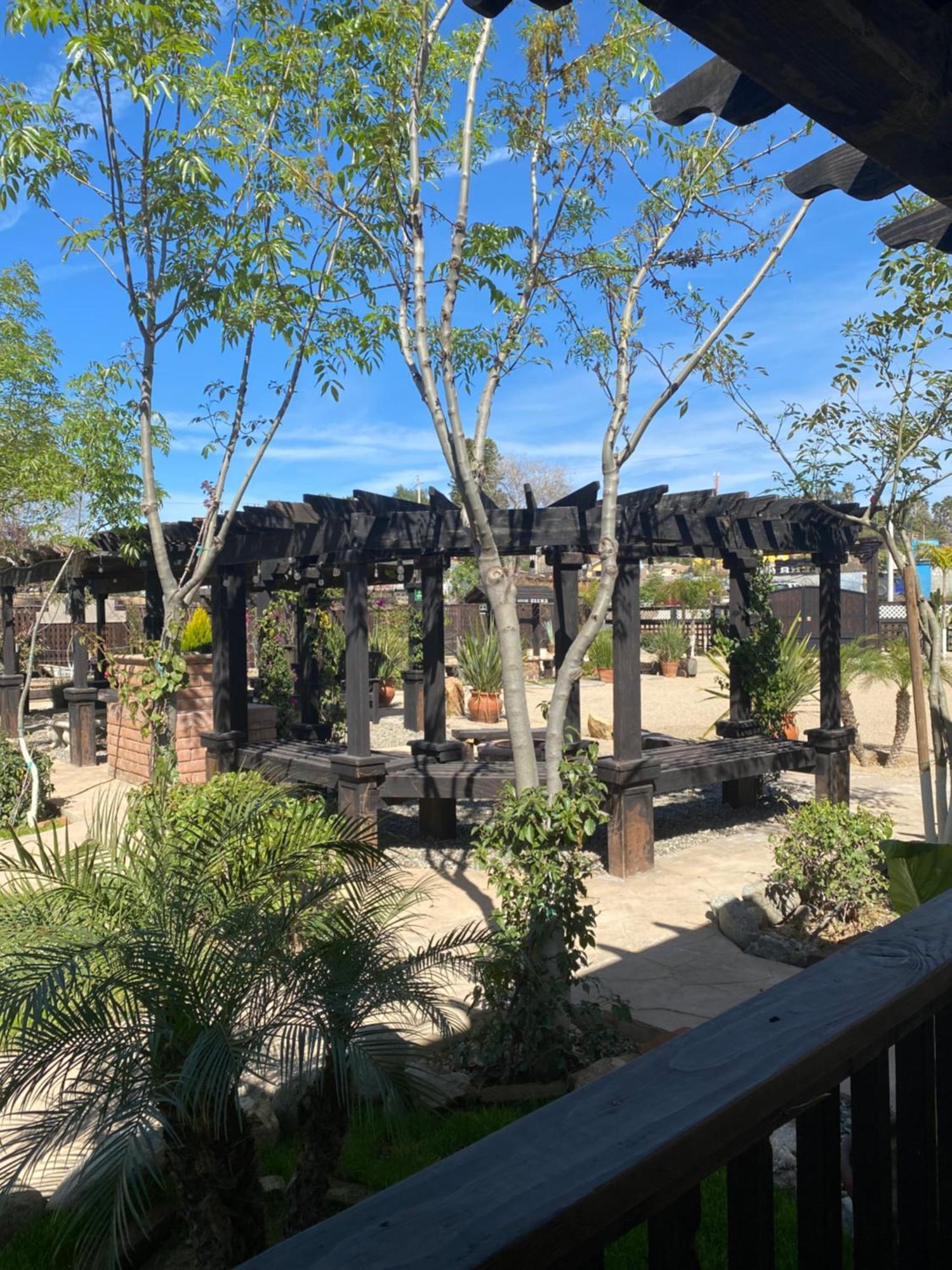 Estancita Elena Hotel Valle de Guadalupe Bagian luar foto