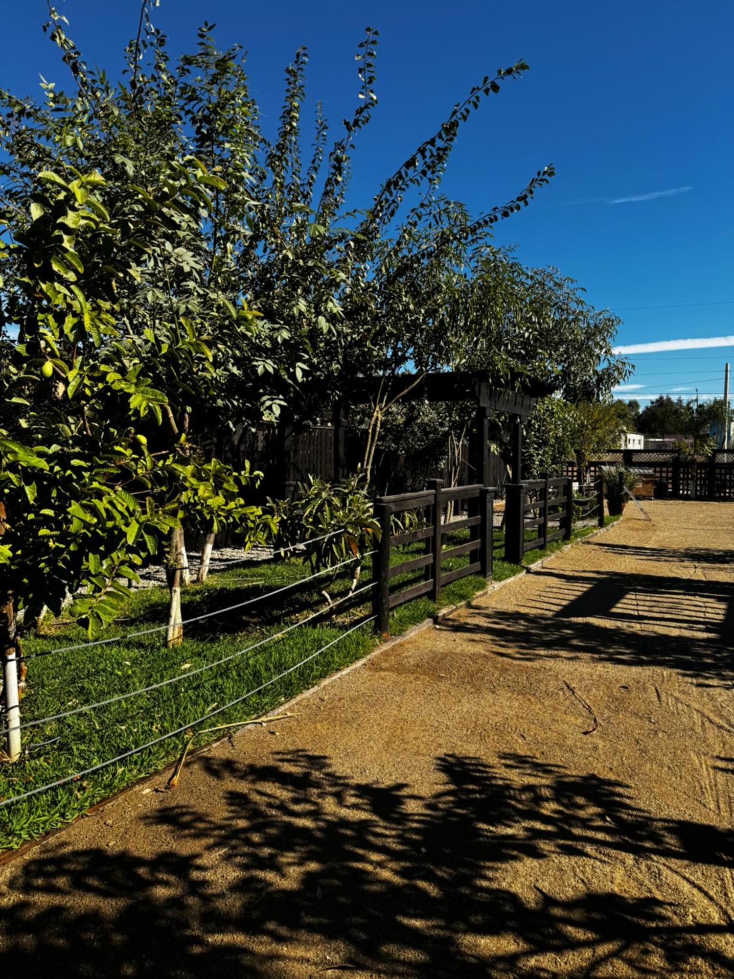 Estancita Elena Hotel Valle de Guadalupe Bagian luar foto